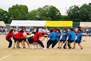 IMGP0236.JPG