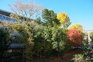 IMGP9860s.jpg