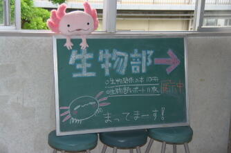IMGP0699_Bio.jpg