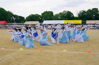 IMGP0108.JPG