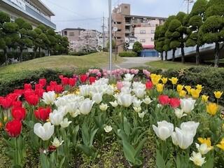 校庭⑧.jpg