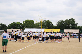 IMGP0278.JPG