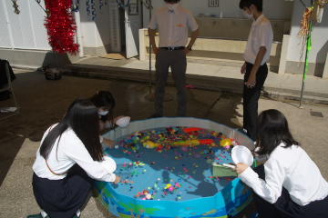 3-5b.jpg