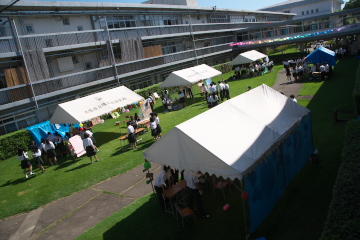 lawn1.jpg