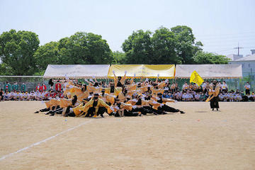 2022yellow.jpg