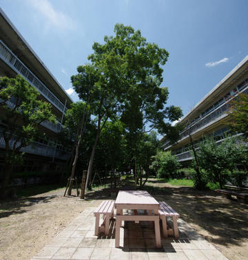 forest202107b.jpg