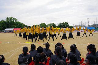 IMGP0063.JPG