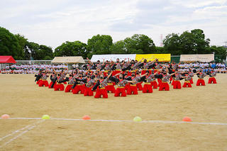 IMGP0137.JPG