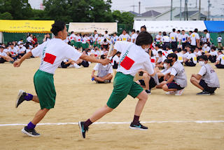 IMGP0312.JPG
