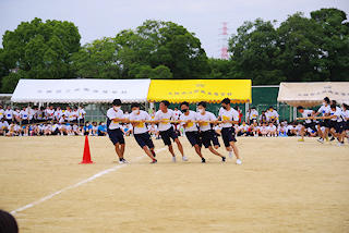 IMGP0333.JPG