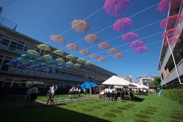 lawn3.jpg