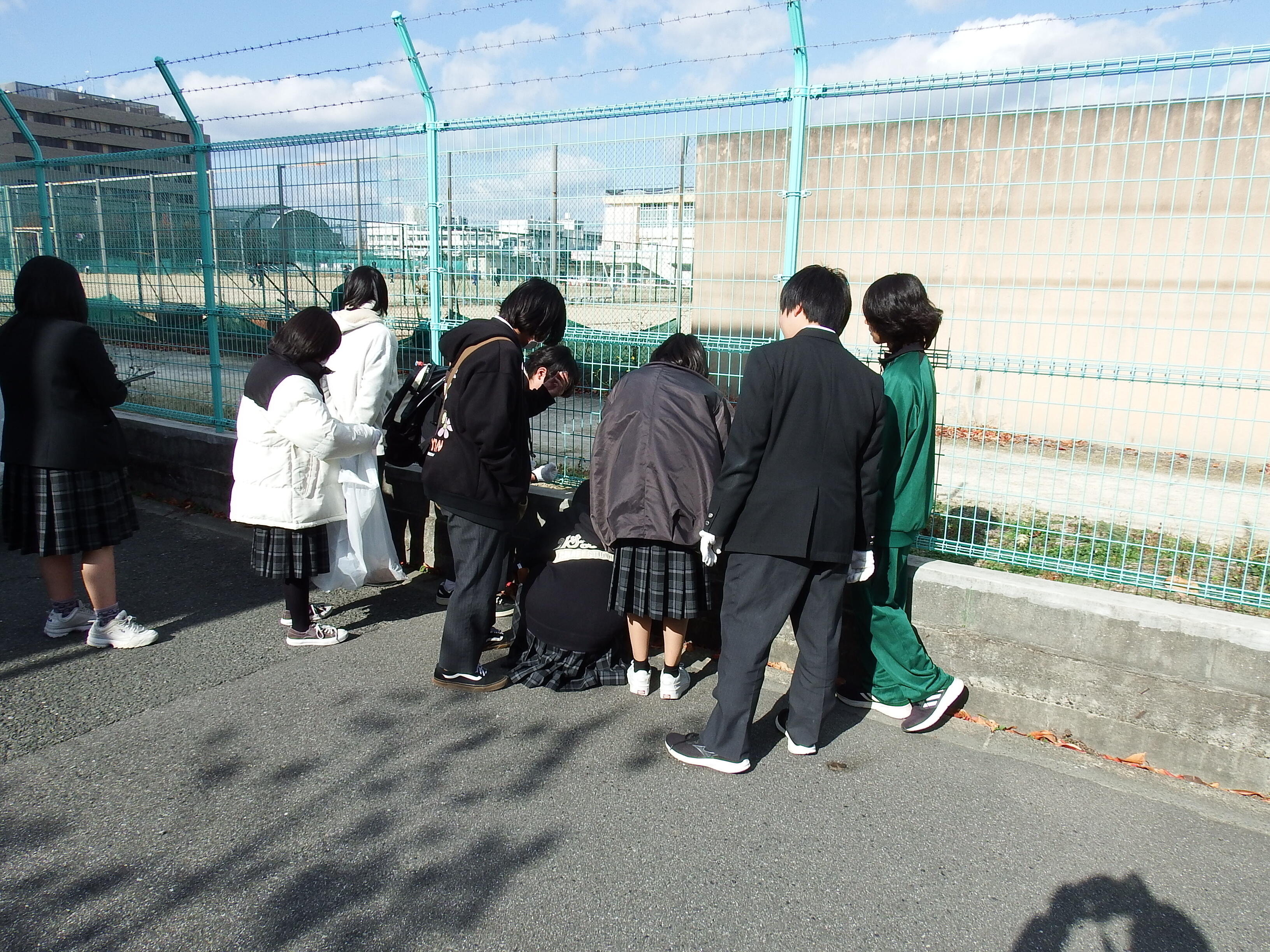 2.JPG