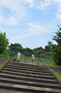 2bba259c-774d-4e47-ba05-472501d0ff7c.jpg