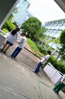 5e78ef5c-35f1-436a-a113-31c6c4e3a49c.jpg