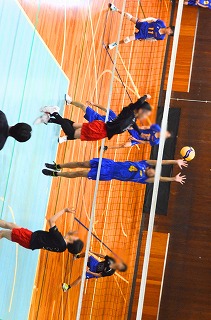 db8e919b-fc82-4b1f-b606-fe80ea4a5e5b.jpg