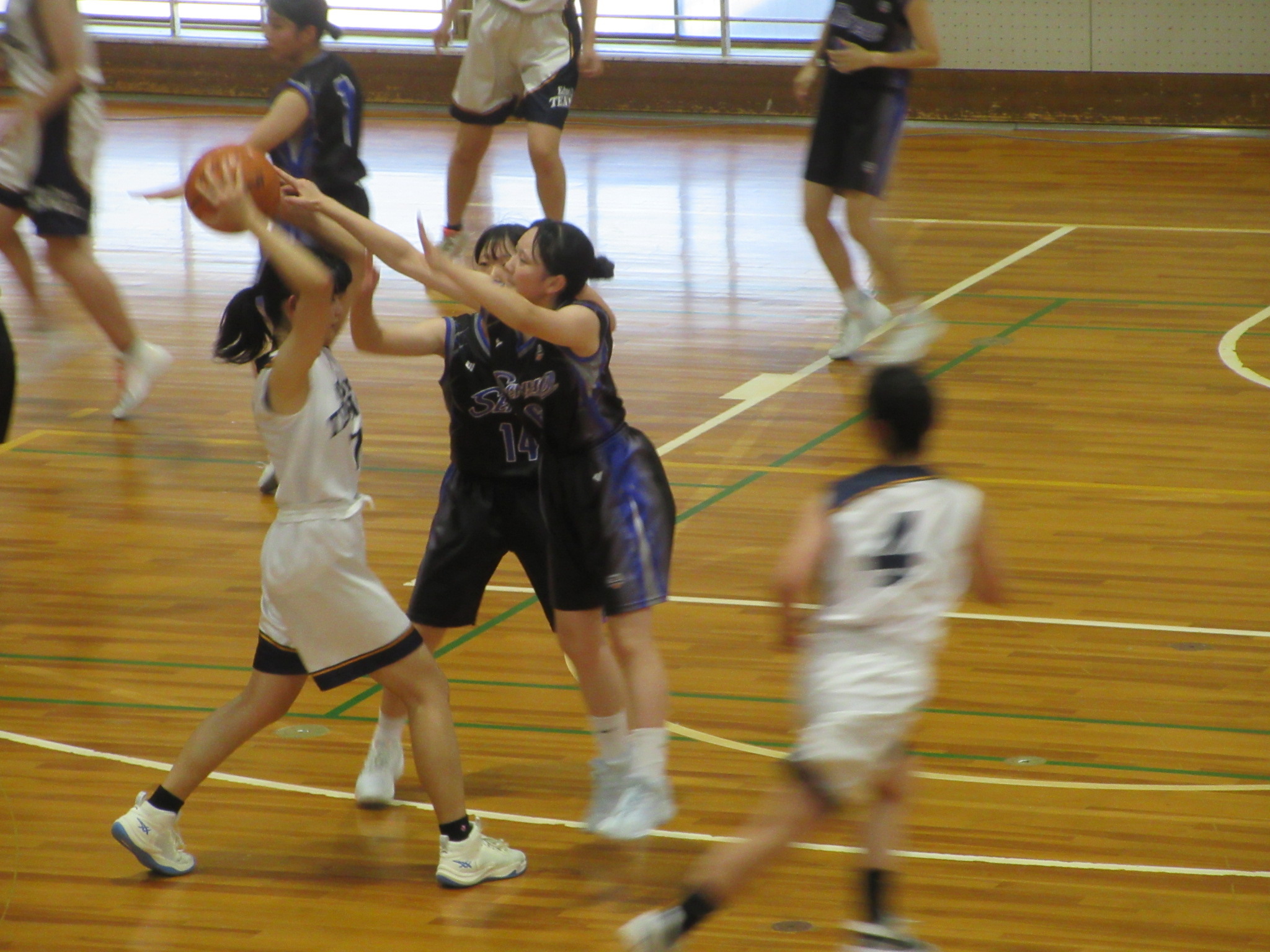 IMG_6368.JPG