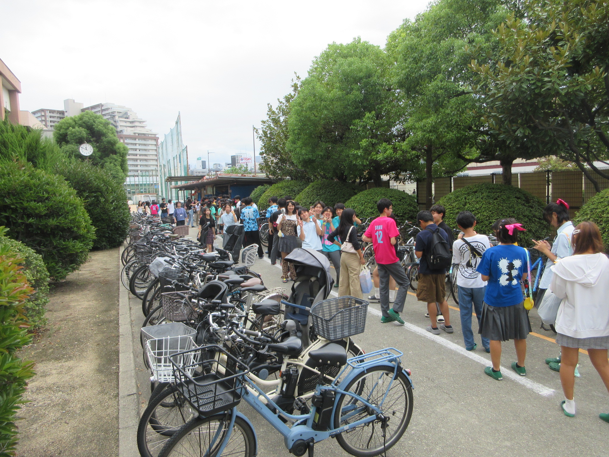 IMG_6941.JPG