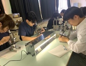 生物３.jpg