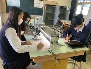 生物２.jpg