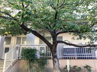 IMG_3806（小）.jpeg