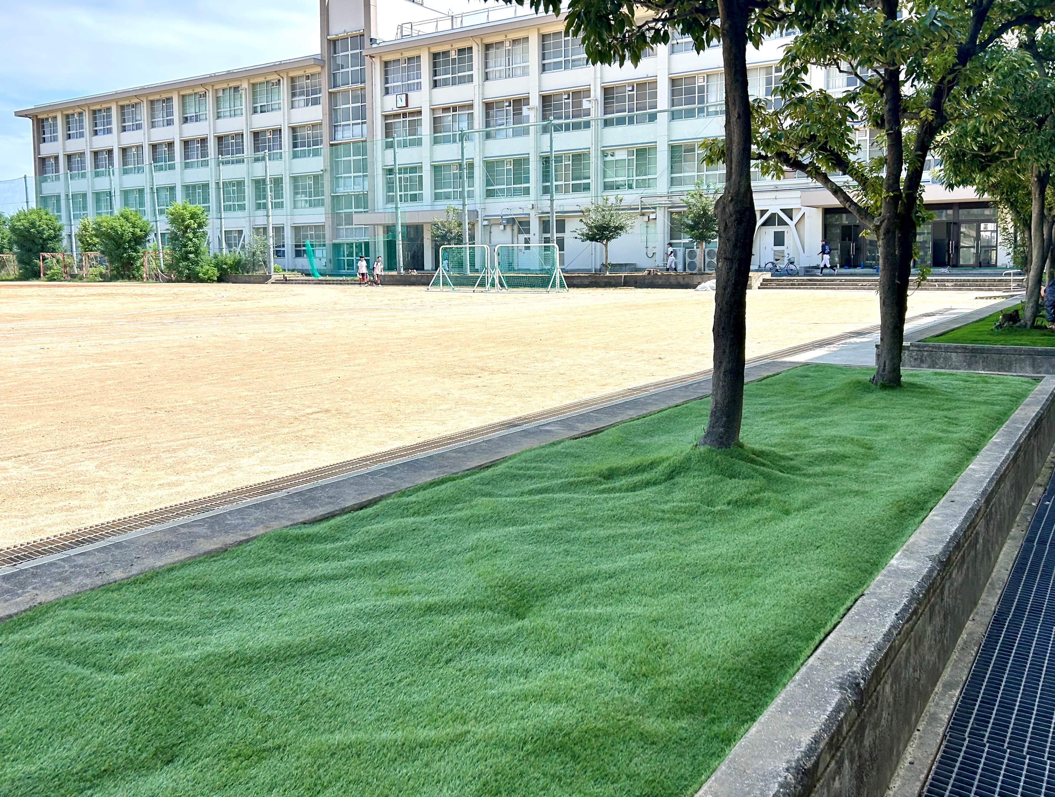 防草シート施工後.jpg