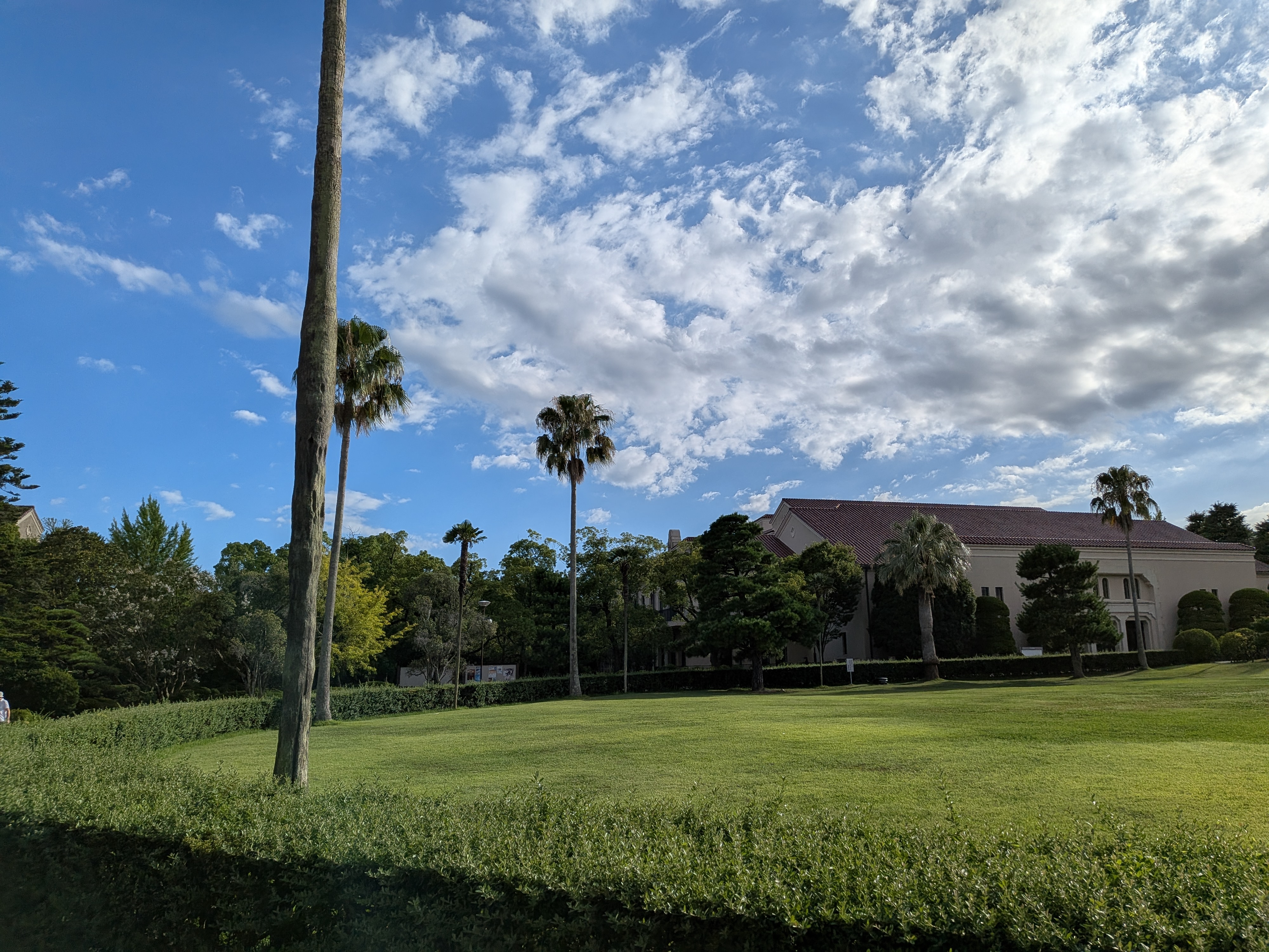 PXL_20260807_000302364.jpg
