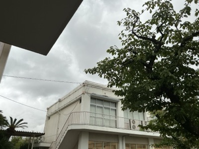 IMG_0751.jpeg