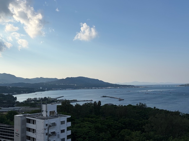 IMG_0224.jpeg