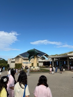 IMG_0327.jpeg