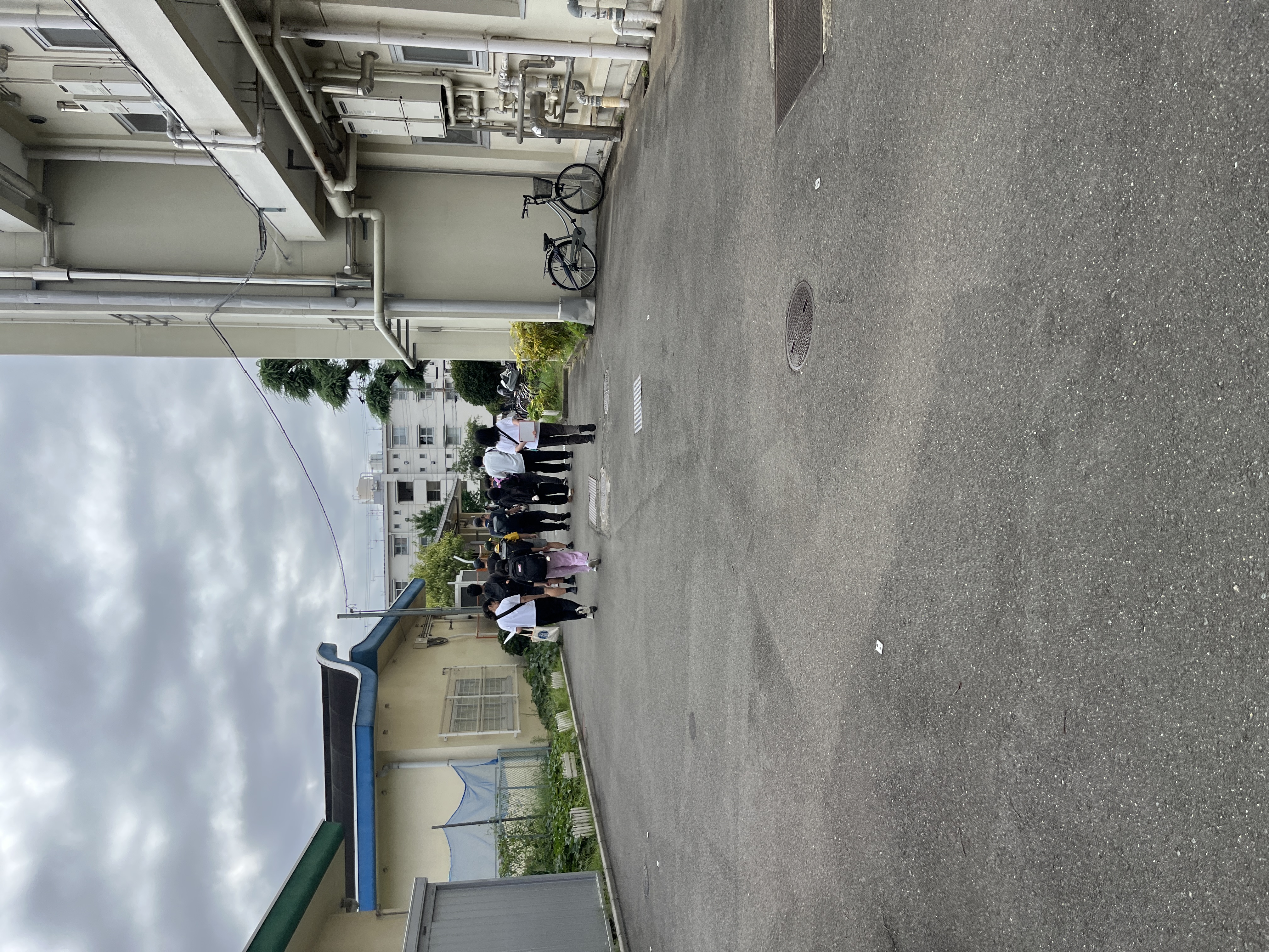 IMG_9034.jpeg
