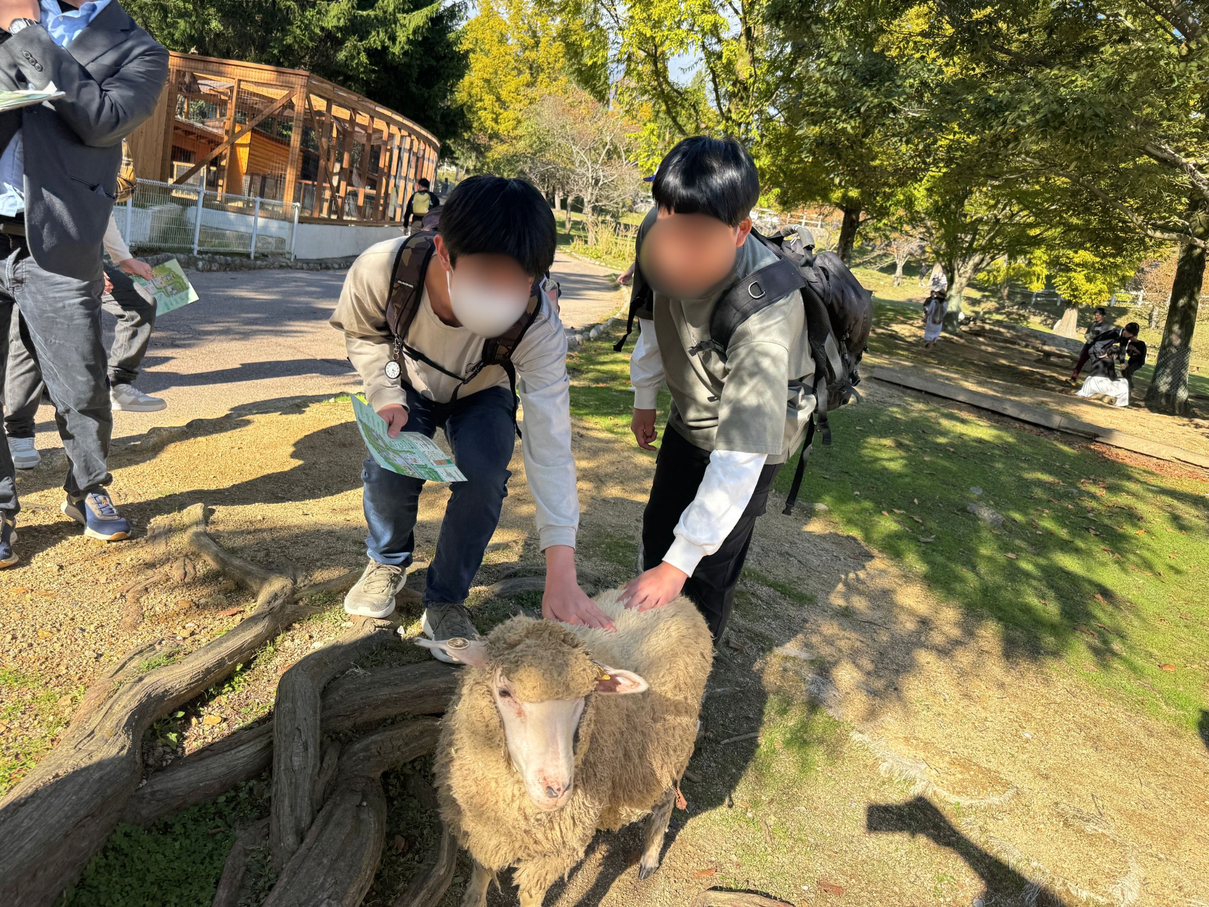 名称未設定のデザイン (4).jpg