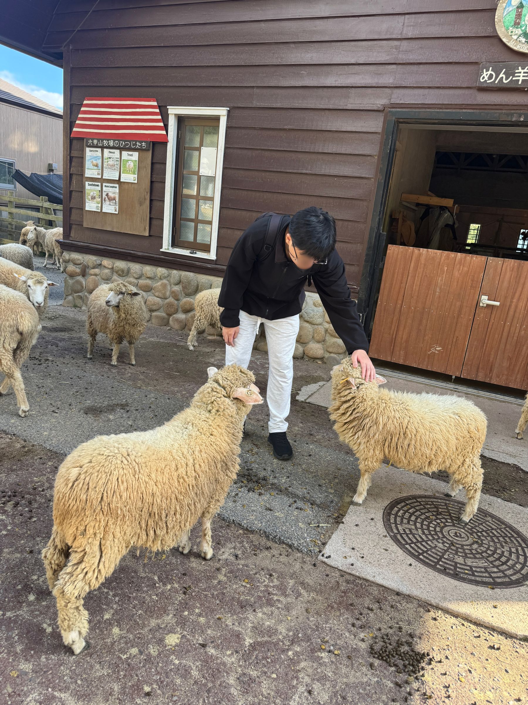 名称未設定のデザイン (5).jpg