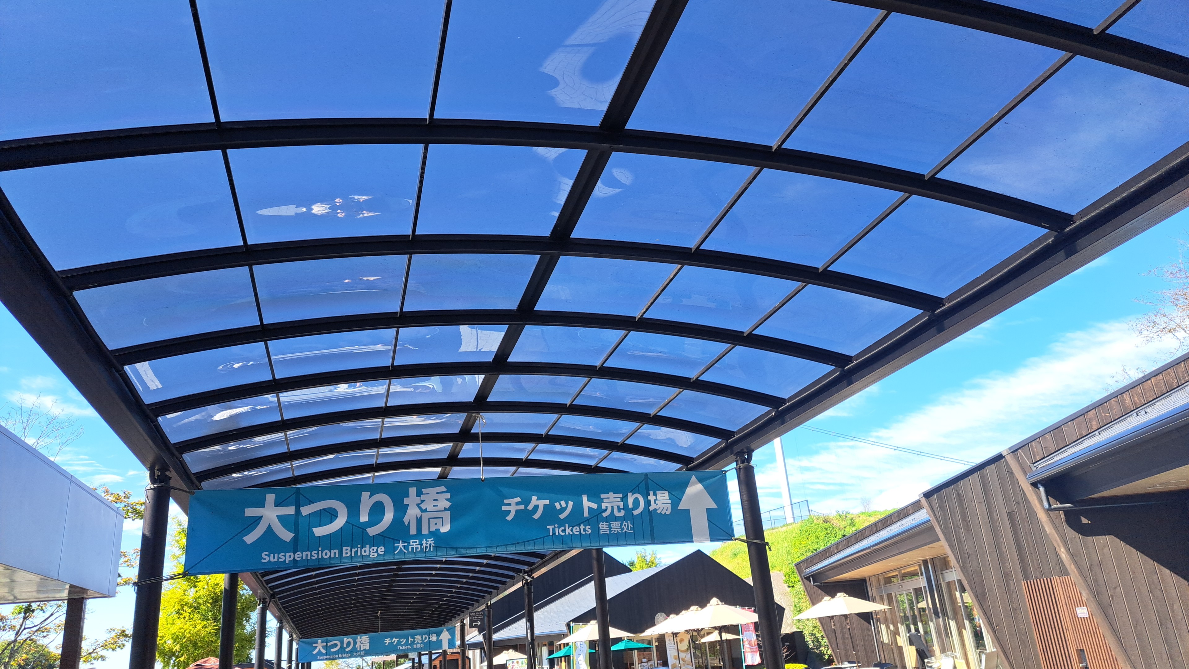 メディア (21).jpg