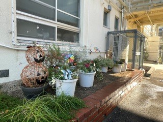 植栽装飾（ハロウィン）.jpg