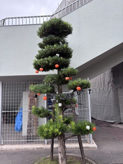 玄関A.jpg