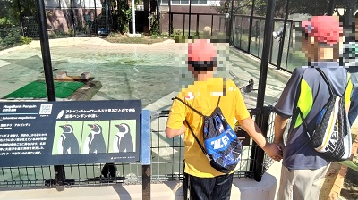ペンギン見学A.jpg