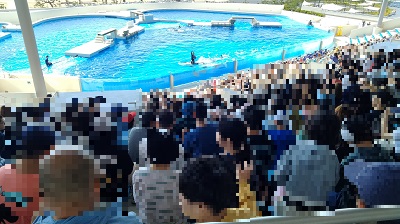水族館５AA.jpg