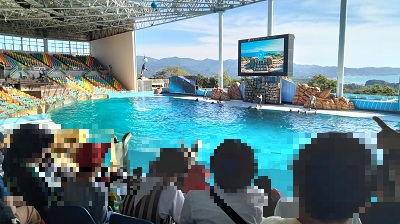 イルカショー観客席２A.jpg