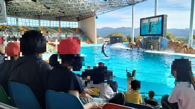 イルカショー観客席A.jpg