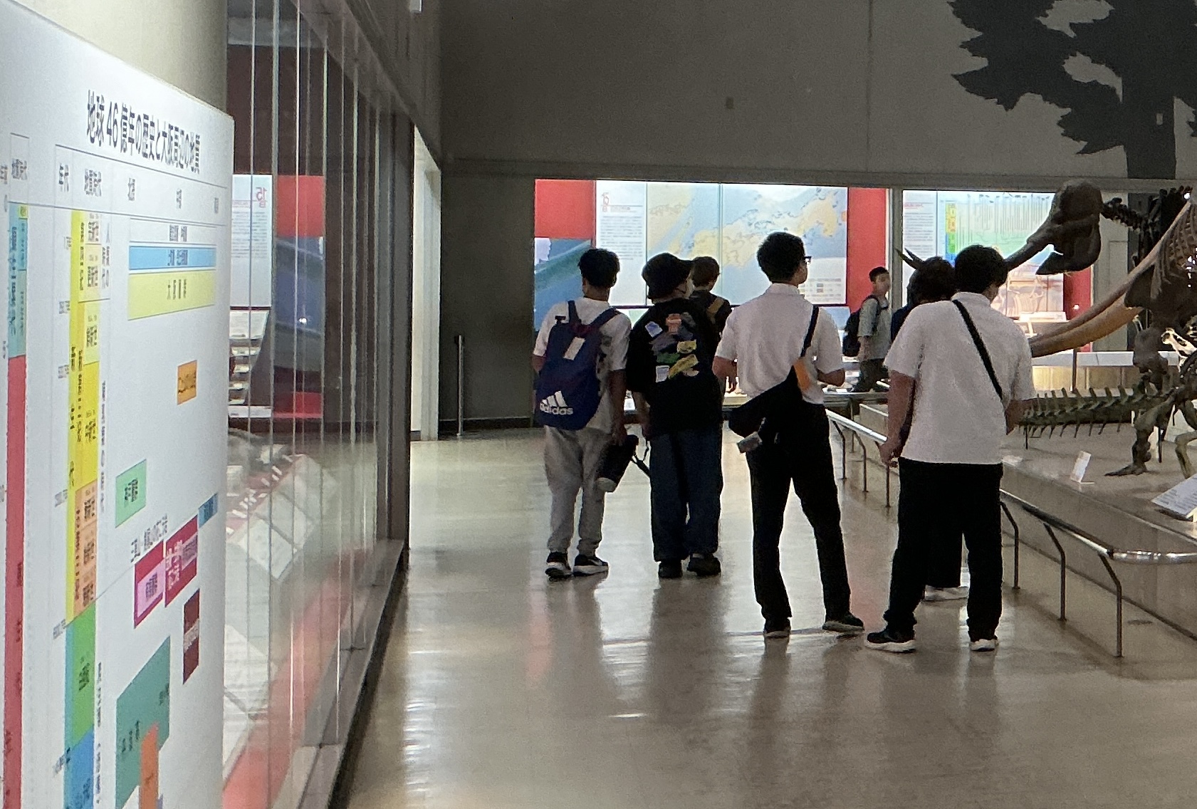 IMG_0924.jpeg