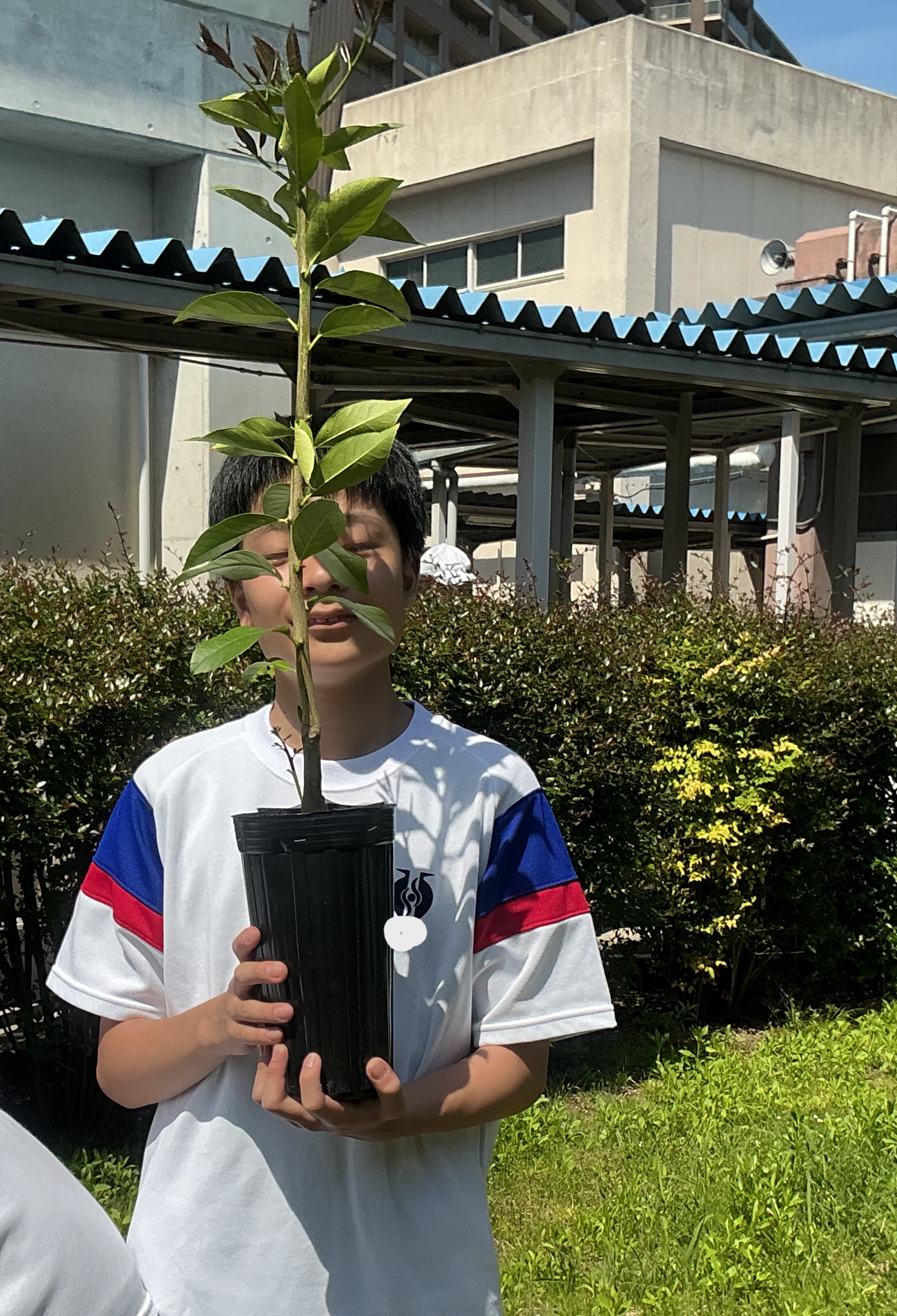植樹祭4.JPG