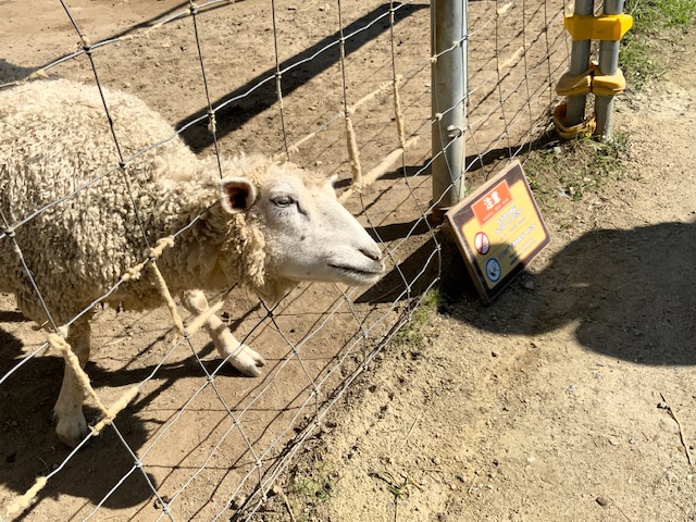 image4.jpeg