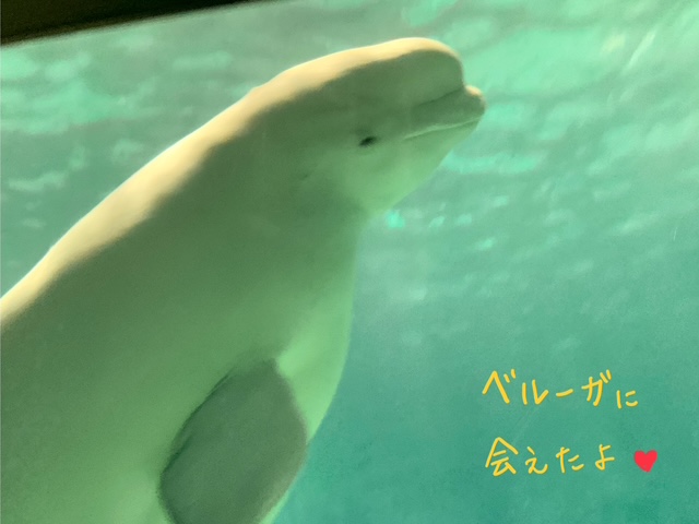 普通課程修学旅行1日目②ー８.jpeg