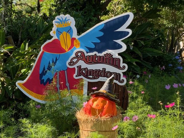 image1.jpeg