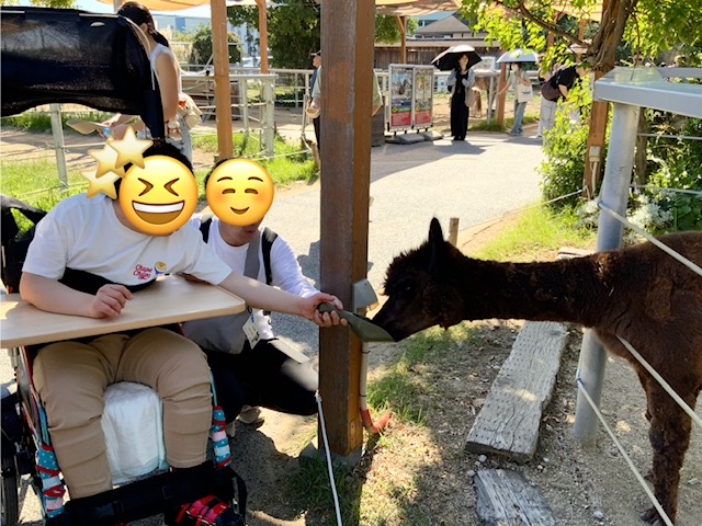 image9.jpeg