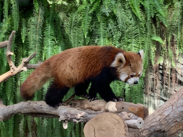 image9.jpeg