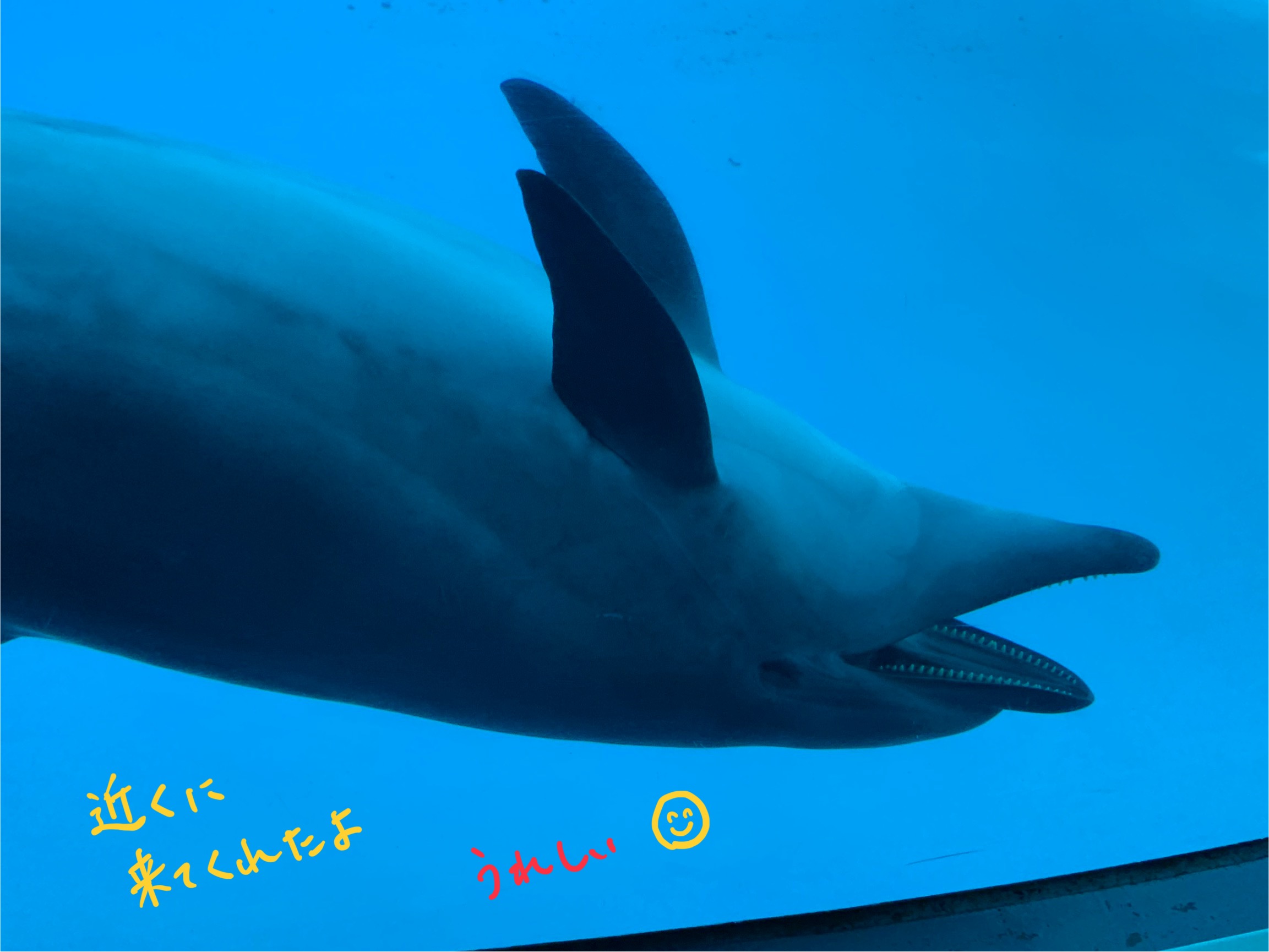 普通課程修学旅行1日目②ー10.jpeg