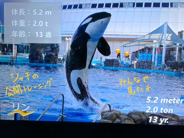 普通課程修学旅行1日目②ー６.jpeg