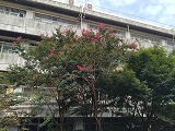 DSC_0814.jpg