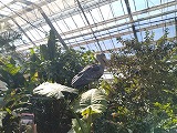 DSC_0956.jpg